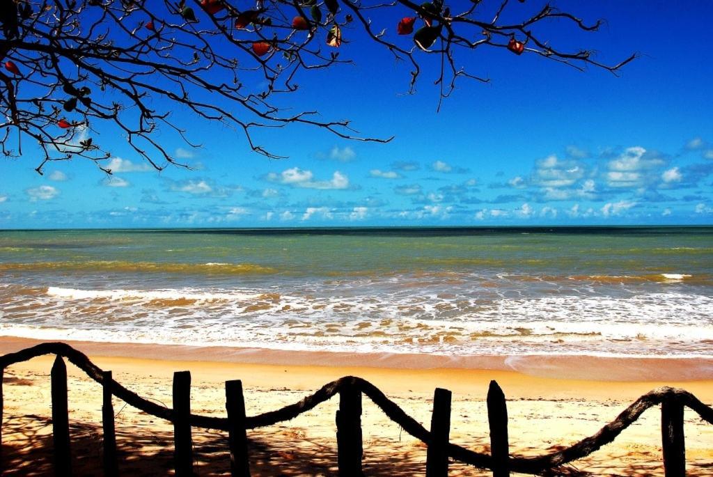 Paraiso Da Falesia Em Cumuruxatiba Com Vista Excepcional Para O Mar别墅 外观 照片