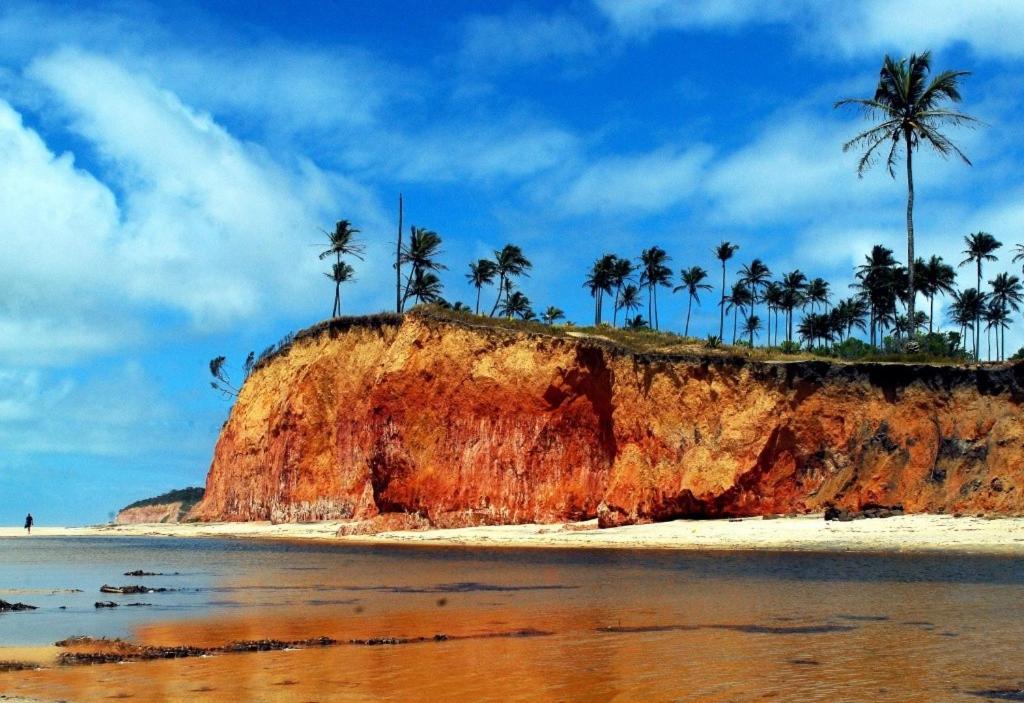Paraiso Da Falesia Em Cumuruxatiba Com Vista Excepcional Para O Mar别墅 外观 照片